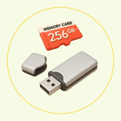 Memory Card & Flash Drive