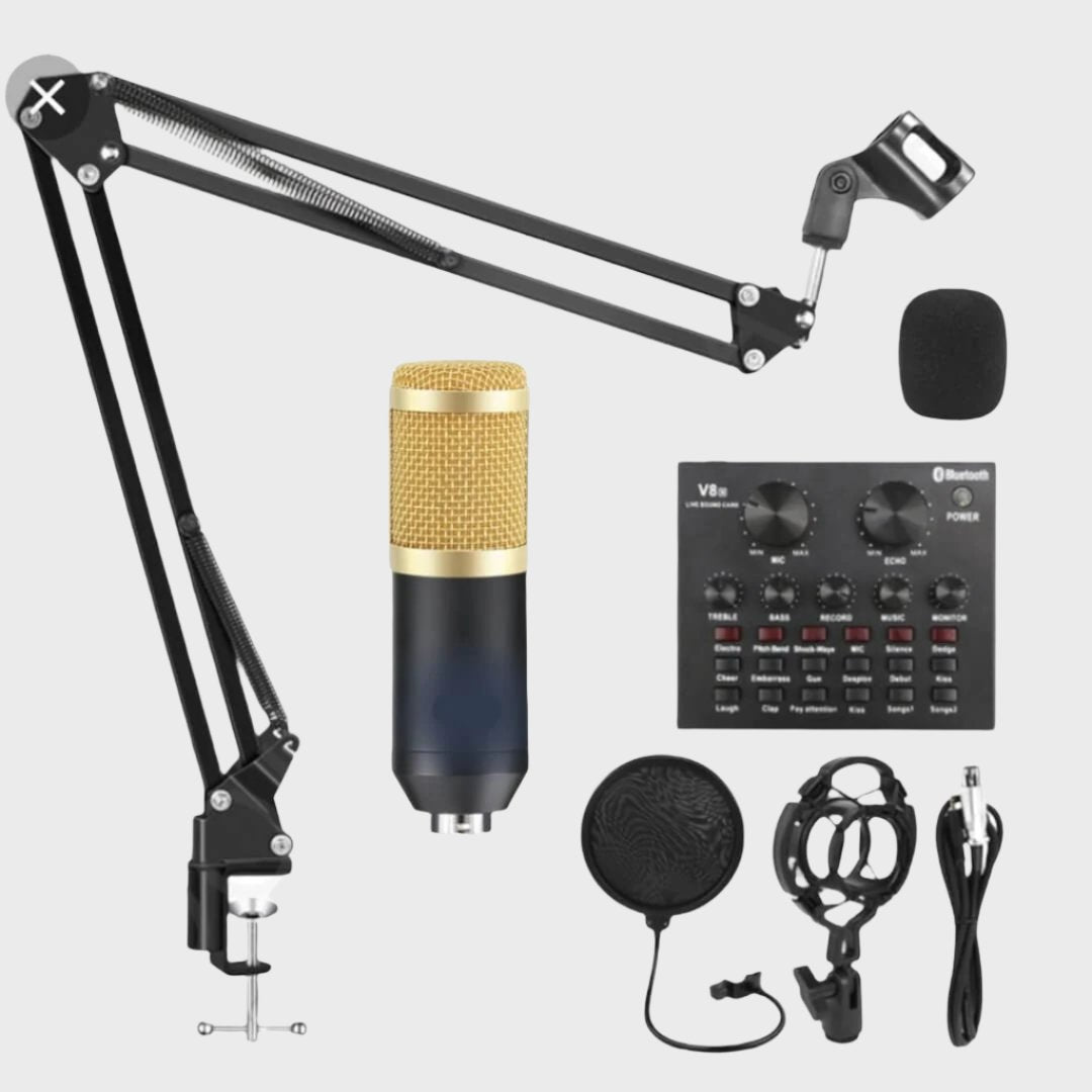 Legendary Vocal Professional Condenser Microphone - Audio Accessories available at Dohans Qatar